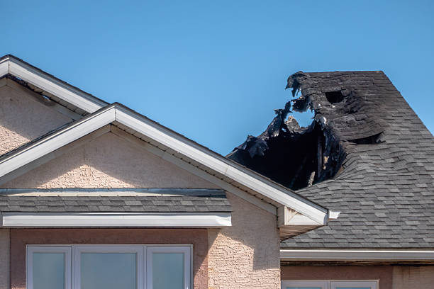 Top rated local Odor Removal specialists in Watertown, FL